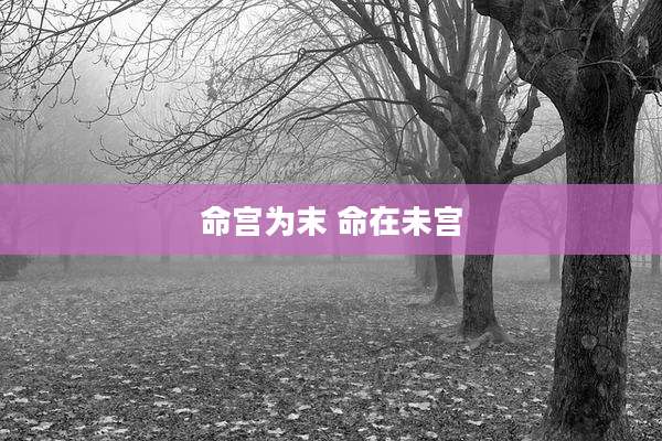 命宫为末 命在未宫