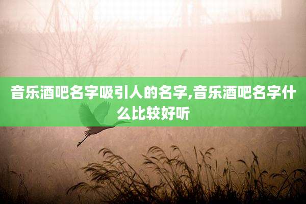 音乐酒吧名字吸引人的名字,音乐酒吧名字什么比较好听