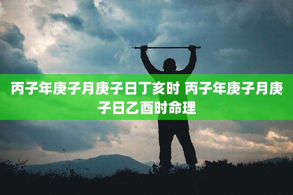 丙子年庚子月庚子日丁亥时 丙子年庚子月庚子日乙酉时命理