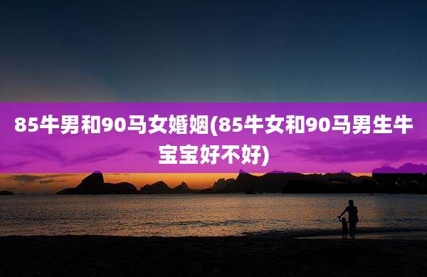 85牛男和90马女婚姻(85牛女和90马男生牛宝宝好不好)