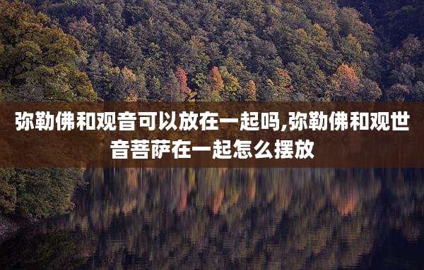 弥勒佛和观音可以放在一起吗,弥勒佛和观世音菩萨在一起怎么摆放