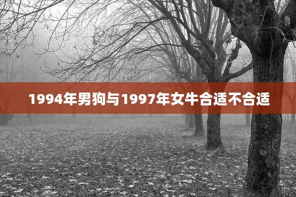 1994年男狗与1997年女牛合适不合适