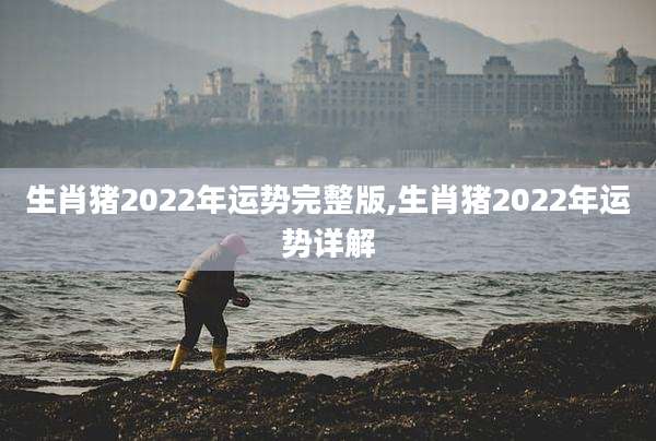 生肖猪2022年运势完整版,生肖猪2022年运势详解