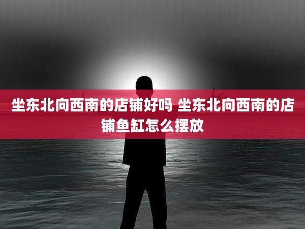 坐东北向西南的店铺好吗 坐东北向西南的店铺鱼缸怎么摆放
