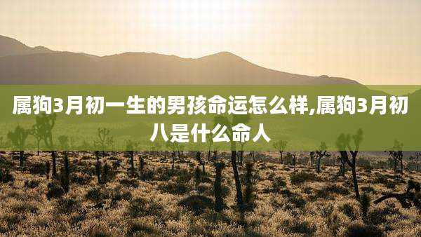 属狗3月初一生的男孩命运怎么样,属狗3月初八是什么命人