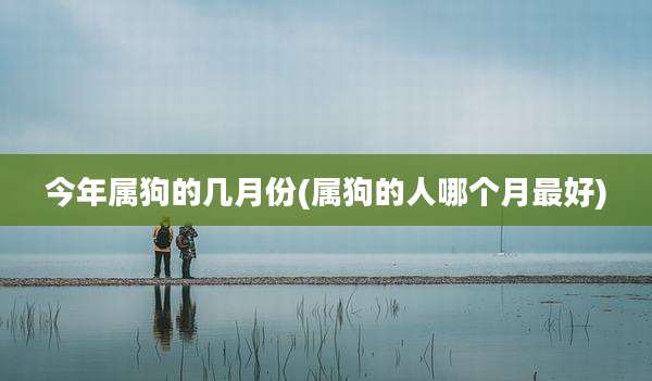 今年属狗的几月份(属狗的人哪个月最好)