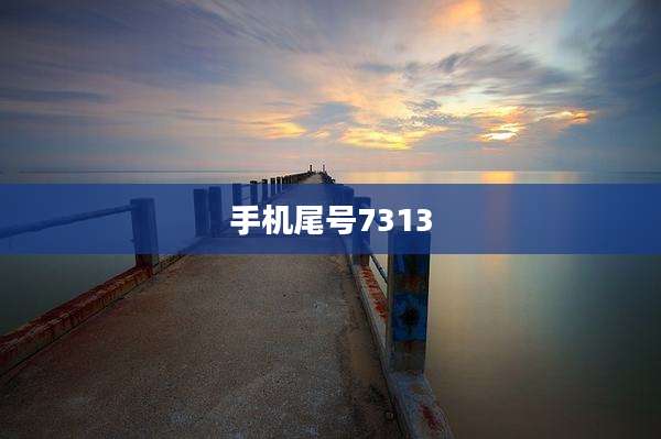 手机尾号7313