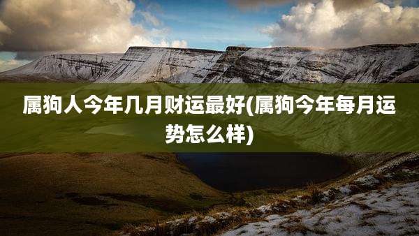 属狗人今年几月财运最好(属狗今年每月运势怎么样)