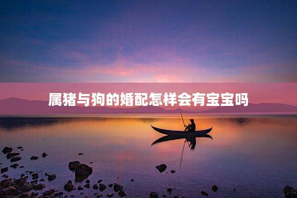属猪与狗的婚配怎样会有宝宝吗