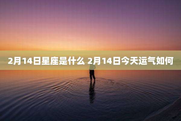 2月14日星座是什么 2月14日今天运气如何
