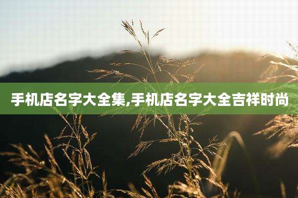 手机店名字大全集,手机店名字大全吉祥时尚