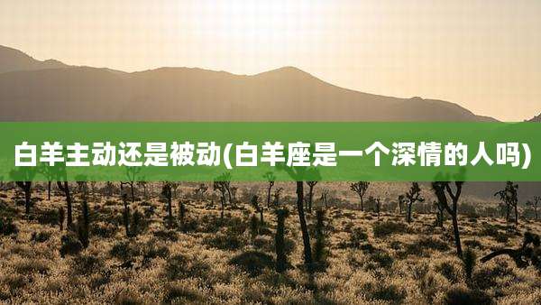 白羊主动还是被动(白羊座是一个深情的人吗)