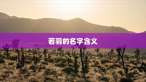 若羽的名字含义