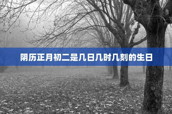 阴历正月初二是几日几时几刻的生日