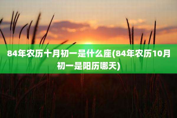 84年农历十月初一是什么座(84年农历10月初一是阳历哪天)