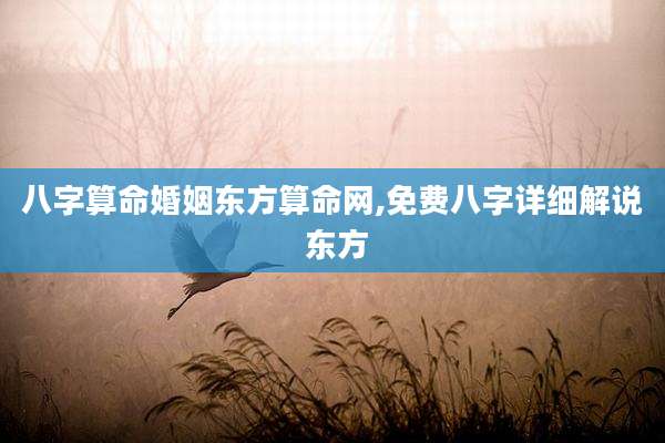 八字算命婚姻东方算命网,免费八字详细解说 东方