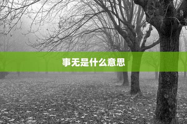 事无是什么意思