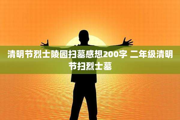 清明节烈士陵园扫墓感想200字 二年级清明节扫烈士墓
