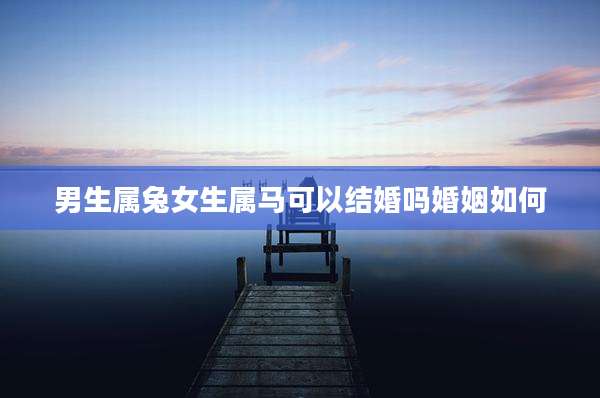男生属兔女生属马可以结婚吗婚姻如何