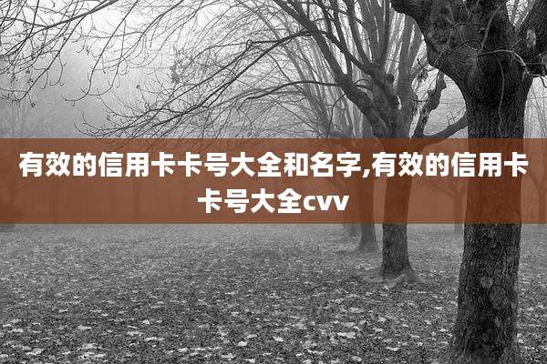 有效的信用卡卡号大全和名字,有效的信用卡卡号大全cvv