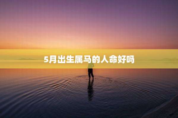 5月出生属马的人命好吗