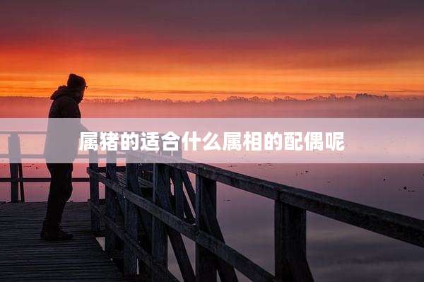 属猪的适合什么属相的配偶呢