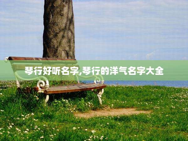 琴行好听名字,琴行的洋气名字大全