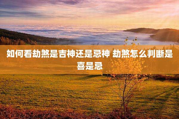 如何看劫煞是吉神还是忌神 劫煞怎么判断是喜是忌