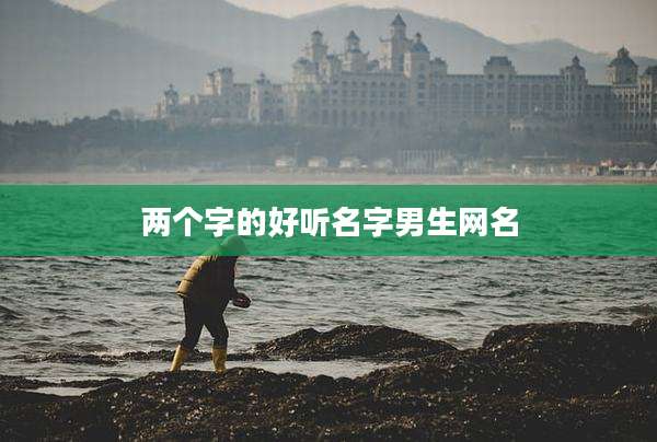 两个字的好听名字男生网名