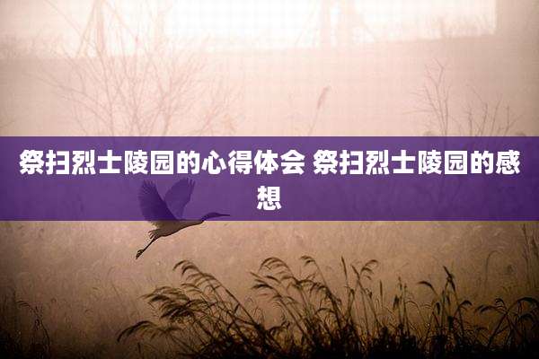 祭扫烈士陵园的心得体会 祭扫烈士陵园的感想