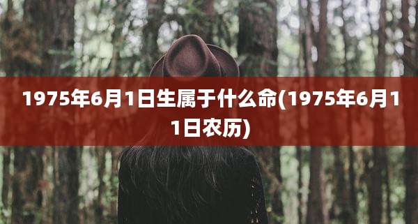 1975年6月1日生属于什么命(1975年6月11日农历)