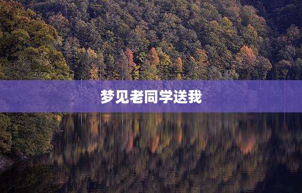 梦见老同学送我