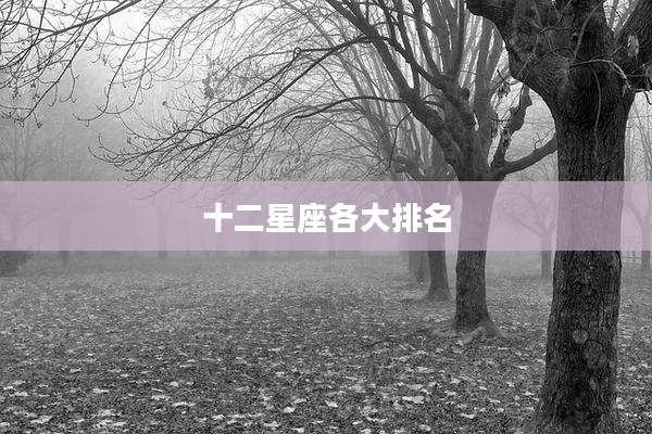 十二星座各大排名