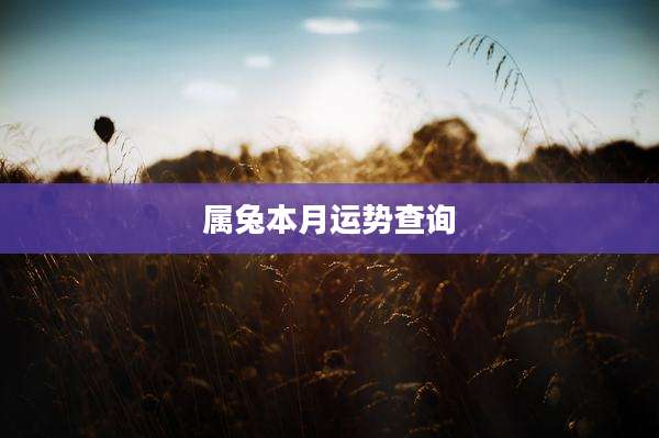 属兔本月运势查询