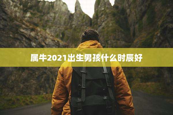 属牛2021出生男孩什么时辰好