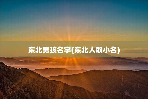 东北男孩名字(东北人取小名)