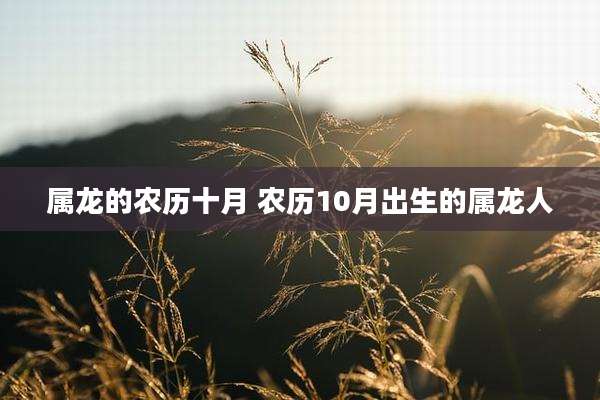 属龙的农历十月 农历10月出生的属龙人