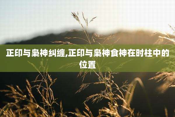 正印与枭神纠缠,正印与枭神食神在时柱中的位置