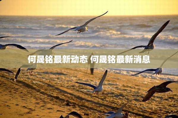 何晟铭最新动态 何晟铭最新消息