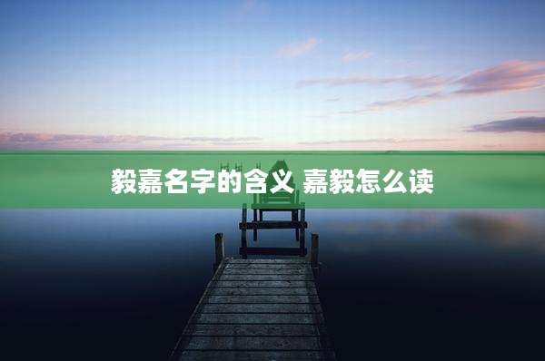 毅嘉名字的含义 嘉毅怎么读