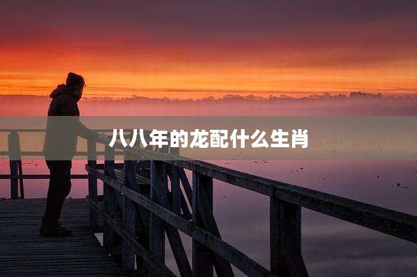 八八年的龙配什么生肖