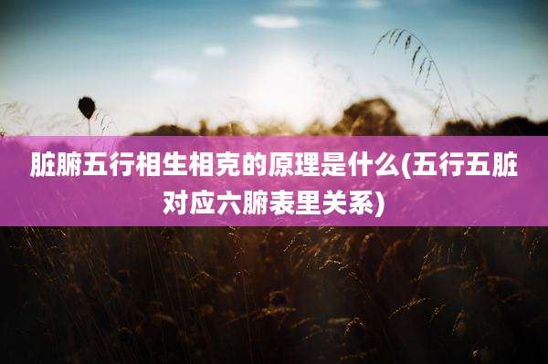 脏腑五行相生相克的原理是什么(五行五脏对应六腑表里关系)
