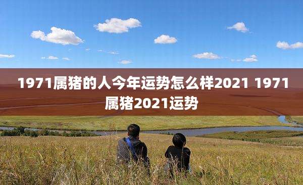 1971属猪的人今年运势怎么样2021 1971属猪2021运势