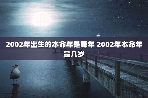 2002年出生的本命年是哪年 2002年本命年是几岁