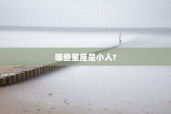 哪些星座是小人?
