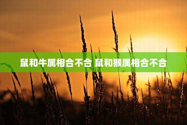 鼠和牛属相合不合 鼠和猴属相合不合