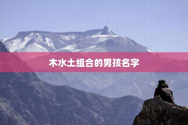 木水土组合的男孩名字