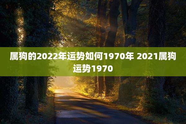 属狗的2022年运势如何1970年 2021属狗运势1970