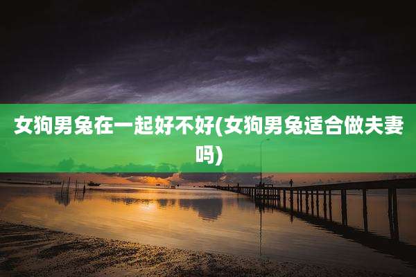 女狗男兔在一起好不好(女狗男兔适合做夫妻吗)