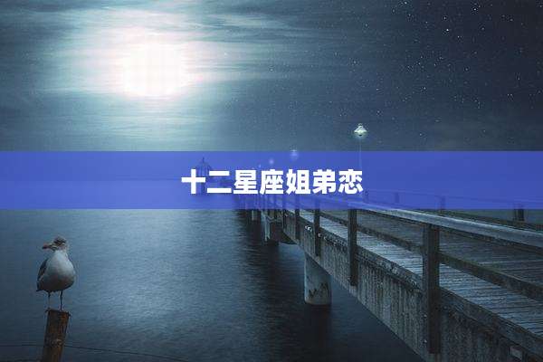 十二星座姐弟恋